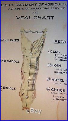 Early 1900s Vtg Antique Butcher Shop Store Veal Meat Cuts Chart Sign Litho USDA
