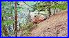 How_Caterpillar_D7_Bulldozer_Clears_A_New_Path_On_Steep_Terrain_Caterpillar_Bulldozer_Tractor_01_form