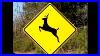 Original_Please_Move_The_Deer_Crossing_Sign_01_ecdd