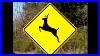 Woman_Complains_About_Deer_Crossing_Signs_01_yrvz